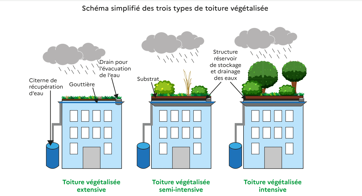 Choisir sa toiture végétalisée