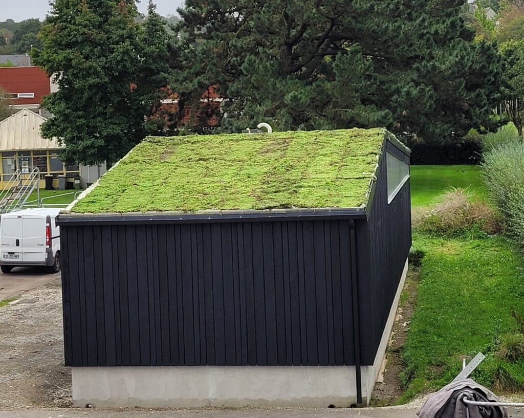 Installation d'une toiture végétalisée sur un bâtiment sportif